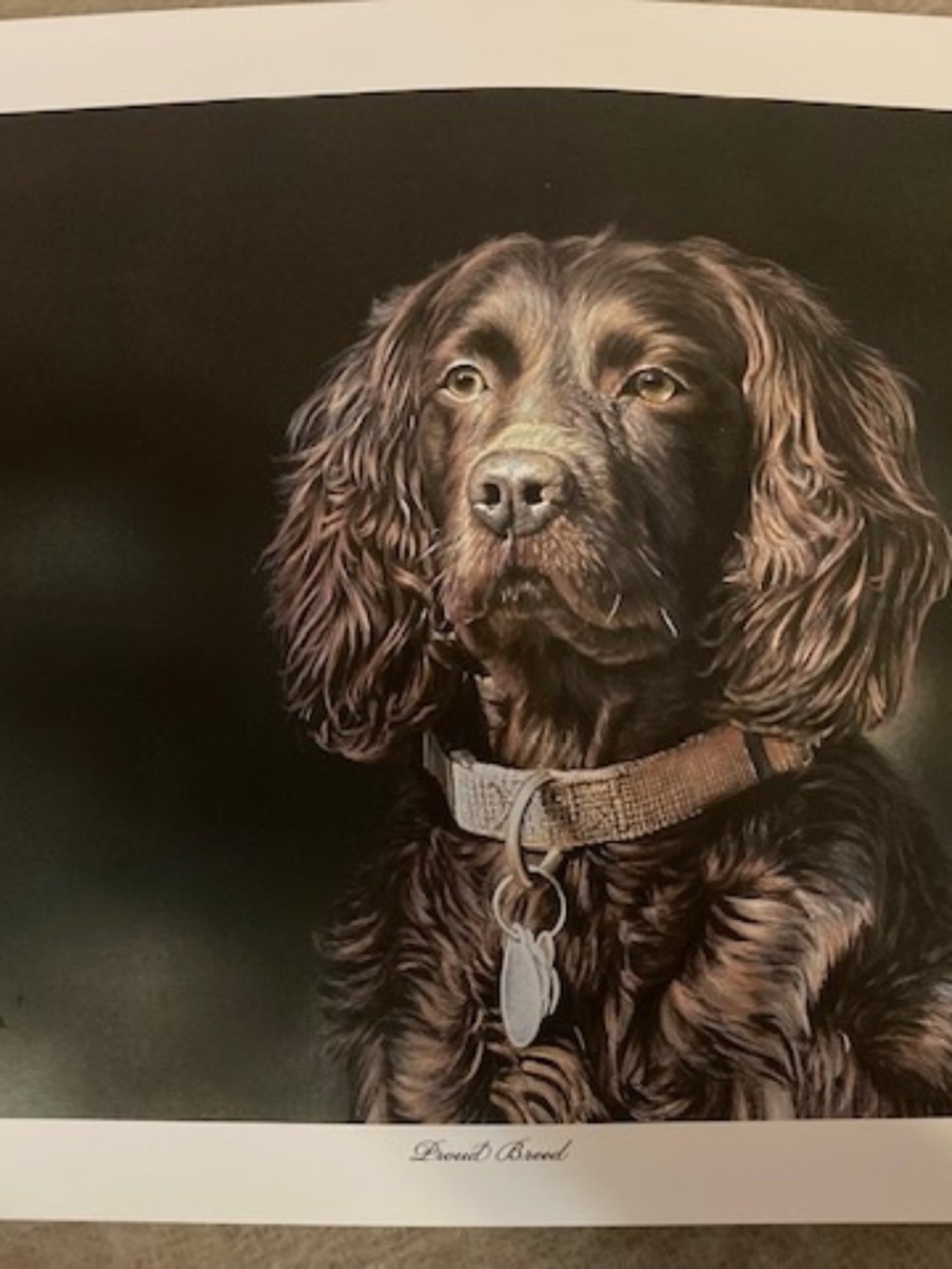 Hunting dog by Danny O'Donnel